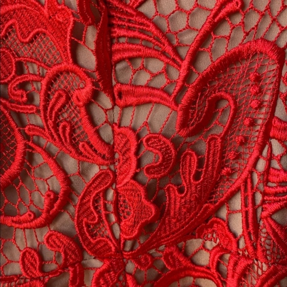 Dress the Population Marie Red Lace‎ Midi Dress | Coquette | Formal | Size M - Picture 6 of 7